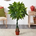 thumbnail image 2 of Nearly Natural 4' Money Plant (Real Touch), Green, 2 of 3