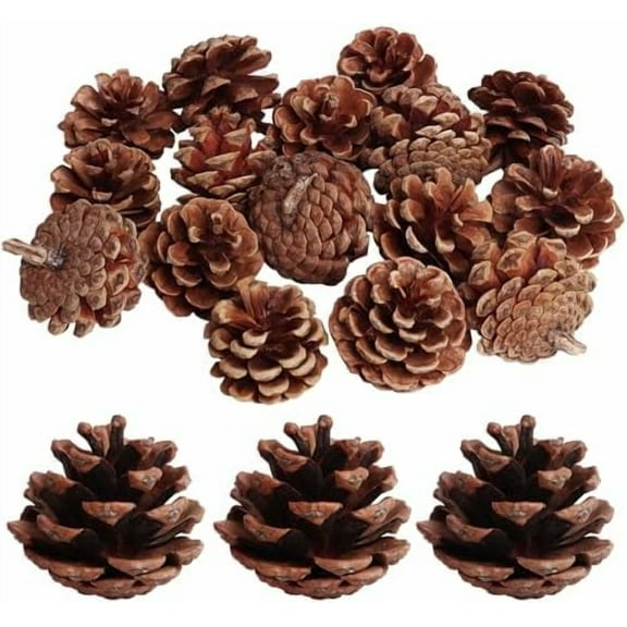 20 Pack 2.4 Inch Pinecones Bulk Package of Natural Pinecones Pine Cones for Crafts Home Decor Vase Filler$$Home Decor, Kitchen, & Other