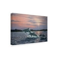 thumbnail image 2 of Trademark Fine Art 'Dolphins' Canvas Art by Wilhelm Goebel, 2 of 3
