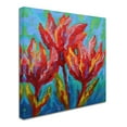 thumbnail image 2 of Trademark Fine Art 'Indian Paint Brush' Canvas Art by Marion Rose, 2 of 3