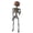 C-#001, variant on Posable Plastic Skeleton Mini Full Body Skeleton Decor, Jack O Lantern Skeleton Hanging Skeleton Prop, Skeleton Decoration Halloween Decorations for Yard Haunted House Party