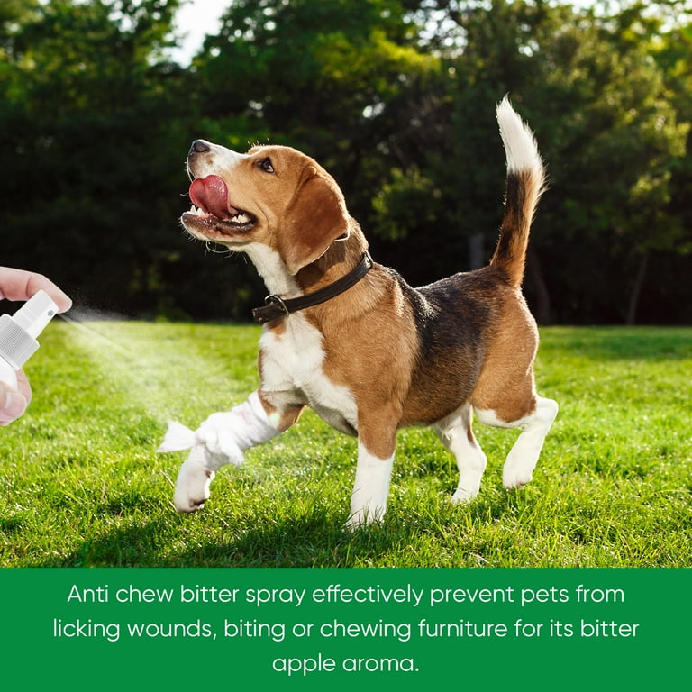 Bitter green apple spray for shop dogs