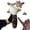 Large-Nutjob + Catnip, variant on Pupr Pals Cat Wrestling Glove (infused) Hand Puppet With Tough Padding For Safe Interactive Play Protection To Stop Kitten Hands; Boredom-busting Exercise