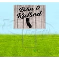 thumbnail image 1 of Born & Raised California (18" x 24") Yard Sign, Includes Metal Step Stake, 1 of 6