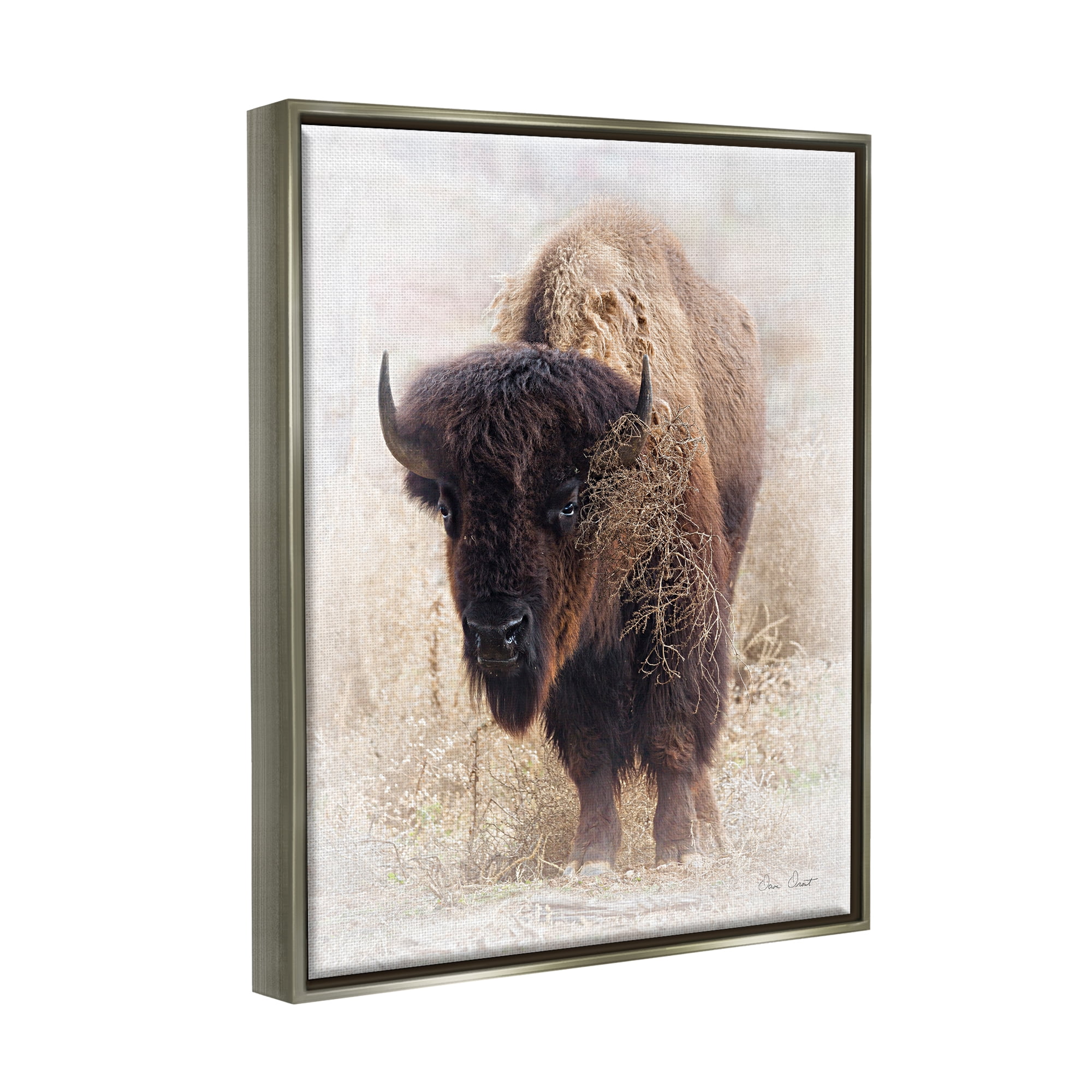 Stupell Industries Bison Grazing Photography Animals & Insects Painting Gray Floater Framed Art Print Wall Art, 25 x 31