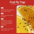 thumbnail image 2 of QARUN Fructose-Based Fruit Fly Trap Liquid,Kitchen Pest Control for Safe Indoor Use,Extreme Fruit Fly Infestation,20Ml, 2 of 7