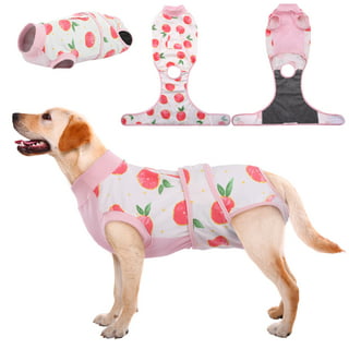 Chewy Summer Girl Designer Dog Dress