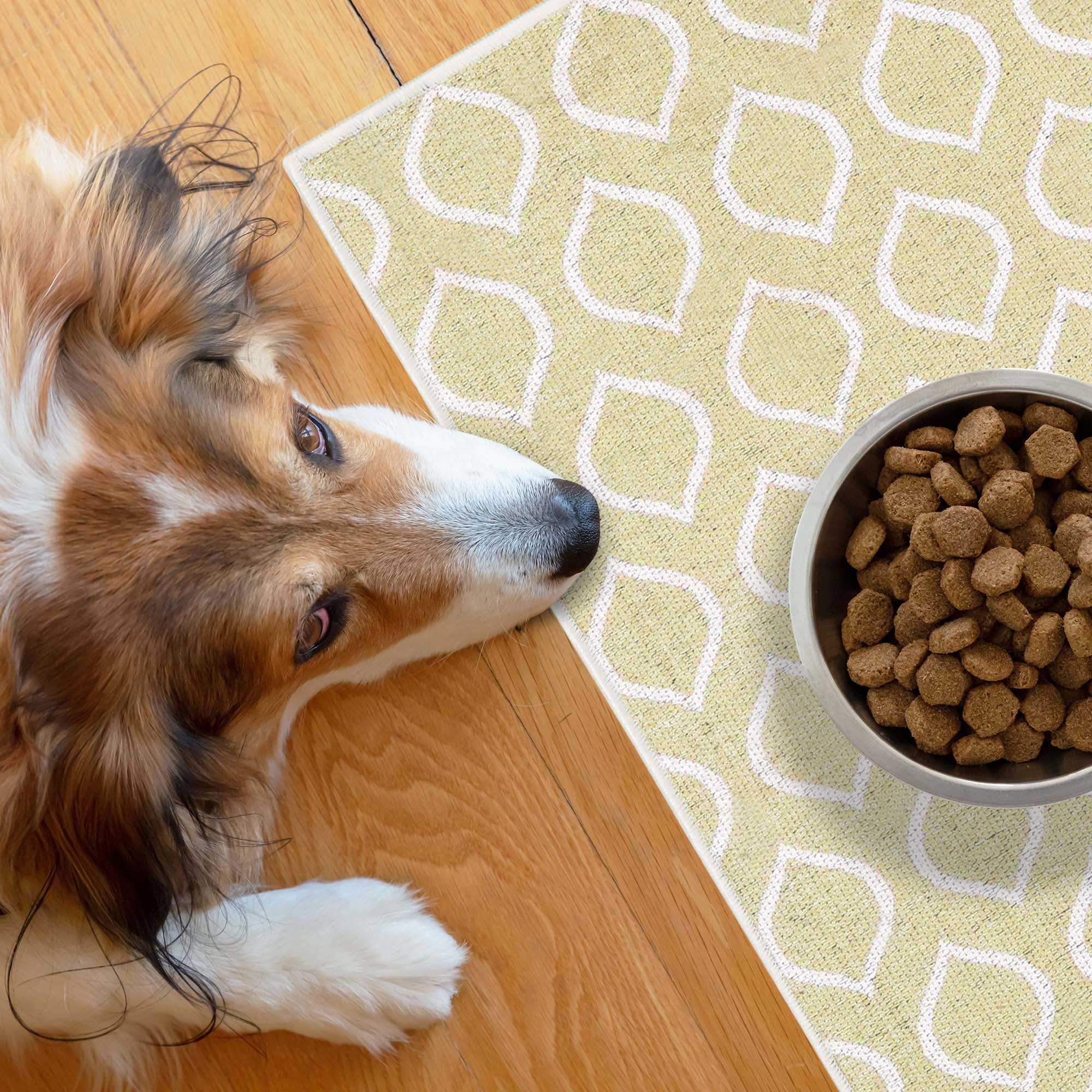 Dog litter mat hotsell