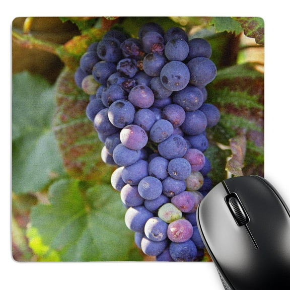 3dRose, Pinot Noir vineyard, Chambertin, Bourgogne, France - EU09 PKA0626 - Per Karlsson, MousePad