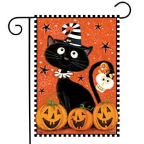 Briarwood Lane Black Kitty Halloween Garden Flag