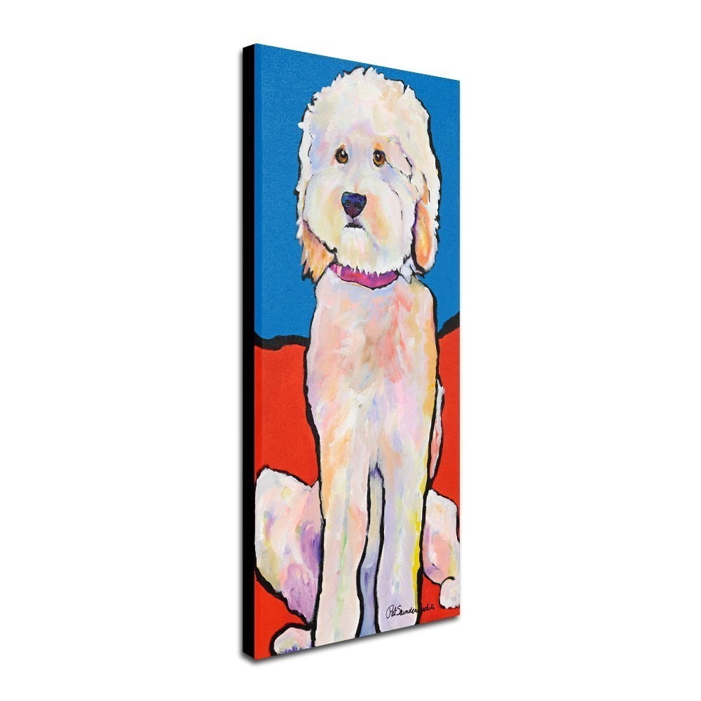 Trademark Fine Art "What No Diamonds" Canvas Art by Pat Saunders