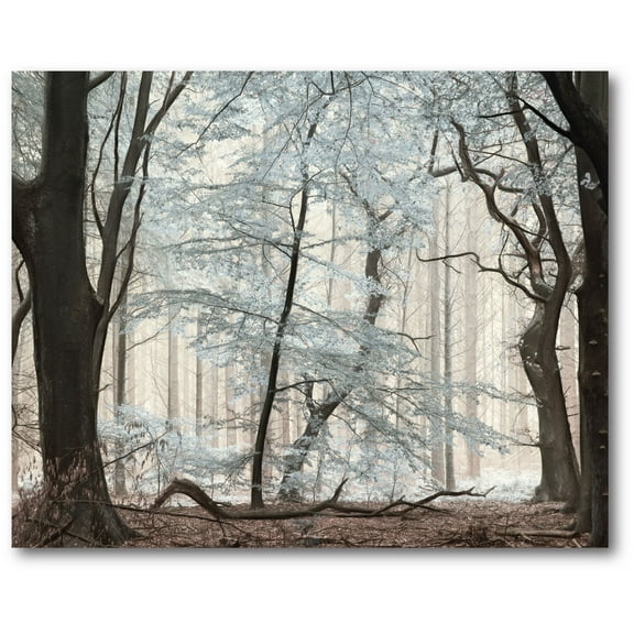 Courtside Market Silverwood Gallery-Wrapped Canvas Wall Art, 16x20