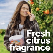 Walex Citra-Pak Citrus Freshness Deodorizer Tabs for RV and Marine Systems