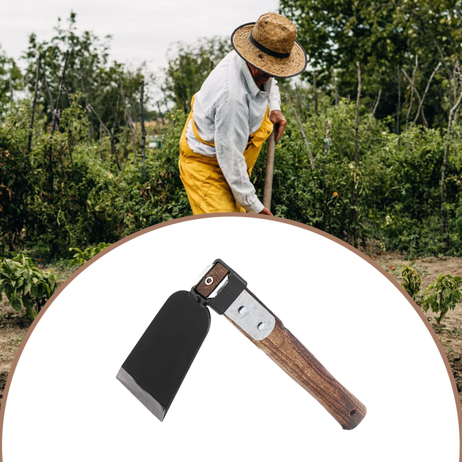 Miulika Garden Hoe Garden Tool Carbon Steel Sturdy Wood Handle Hand Tiller Hand Tool for Yard Tilling Planting Loosening Soil Weeding