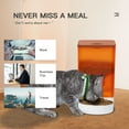 thumbnail image 4 of U.S. Solid 4L Orange Automatic Cat Feeder Pet Food Dispenser with Stainless Steel Bowl, 4 of 6