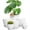 White, variant on HXRH Plastic Flower Pots with Saucers & Drainage,6 Pack Plant Pots for Indoor,Modern Resin Planters,for Garden Flowers Succulents,Home Decor,7.5/6.5/5.5/4.9/4.2/3.5 Inch,White