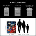 thumbnail image 2 of Northwest DC Comics Justice, League Trio Micro Raschel - Manta de 46 x 60 Pulgadas, Multicolor, 1 Unidad, 2 of 7