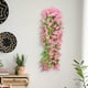 thumbnail image 4 of Guirnalda Colgante de Violetas Artificiales (Paquete de 7) | Decoración Floral Artificial de 80 Cm de Largo con 118 Hojas | Decoración para Arcos de Boda, Techos y Exteriores | Flores de Seda Resiste, 4 of 6