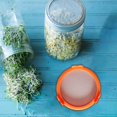 thumbnail image 3 of Sprouting Jar Lid, Strainer Screen Canning Jars, Mason Jar Sprout Lids, Mason Jar Strainer Lid, Sprouting Lids, Mason Jars Lids, Microgreens Growing Kit, Canning Lids, Sprouting Kit, Orange, 3 of 7