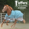 thumbnail image 6 of Jeffers Economy Medium Weight Turnout Blanket | Teal/Gray | 69 Inches, 6 of 8