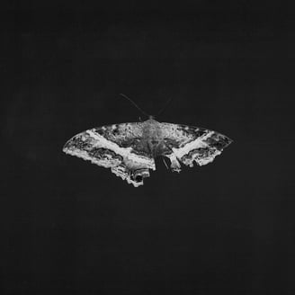 Kendrick Lamar - To Pimp A Butterfly (10 Year Anniversary Edition