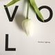 thumbnail image 2 of Wosthever Mini flor artificial, lirio único, tulipán, flor monarca, flor falsa de PU, decoración para el hogar y la Oficina, Flores artificiales blanco, 2 of 6