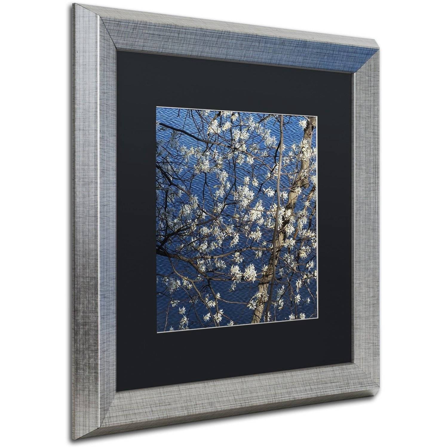 Trademark Fine Art "Springtime at the Lake" Canvas Art by Kurt Shaffer, Black Matte, Silver Frame