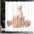 thumbnail image 3 of Ambesonne Kitty Shower Curtain, Goofy Small Cat in Basket, 69"Wx70"L, Pastel Brown and Pale Salmon, 3 of 4
