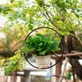 thumbnail image 7 of Better Homes & Gardens Round Iron Black Plant Hanger, 16.1" Diameter x 7.9" Width, Indoor Use, 7 of 7