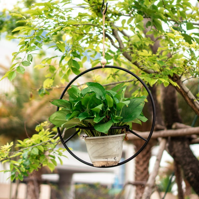 Better Homes & Gardens Round Iron Black Plant Hanger, 16.1" Diameter x 7.9"  Width, Indoor Use - Walmart.com