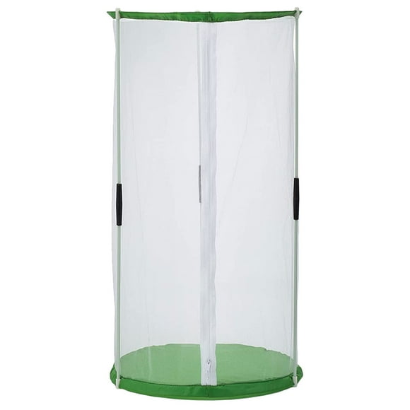 icolorfuled Butterflies Habitat Cage Visible Cage Observation Cage Butterflies Breeding Cage