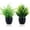 Black-2, variant on 2 Pack Fake Plants in Black Pot Small Artificial Plant Wheat Grass for Home Decor Faux Fern Greenery Indoor Bathroom Shelf Home Office Desk Bedroom Cabinet Kitchen Table Decorations