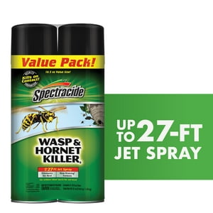 Spectracide Wasp & Hornet Killer Aerosol, 2-Pack