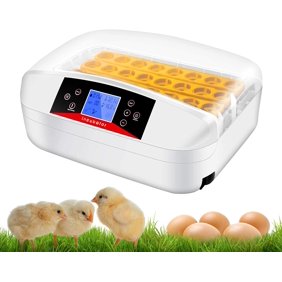Top 5 best egg incubator