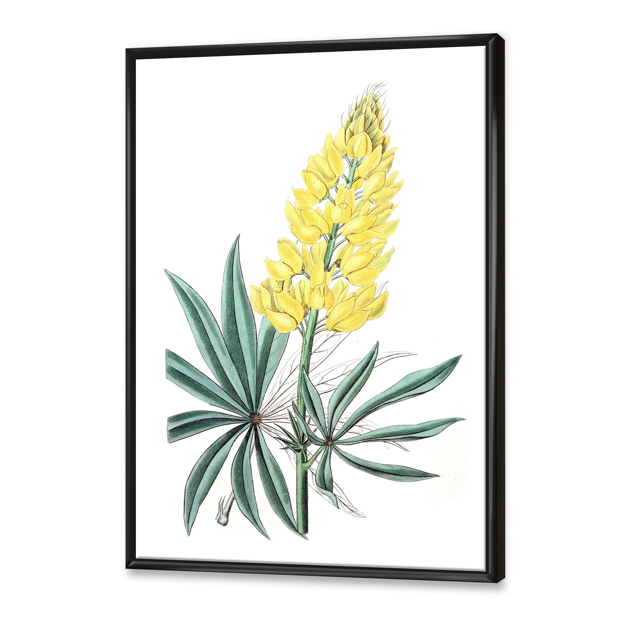 Designart 'Ancient Yellow Flower I' Traditional Framed Canvas Wall Art Print
