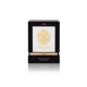 thumbnail image 3 of Tiziana Terenzi Siene Extrait de Parfum Spray (Unisex) por Tiziana Terenzi Tiziana Terenzi Model, 3 of 3
