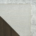 thumbnail image 6 of Nourison Astra Machine Washable 5'3" x 7' Light Grey Vintage Indoor Rug, 6 of 9