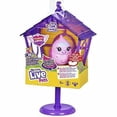 thumbnail image 1 of Set de juego Little Live Pets Lil House con pájaro animado 26281, 1 of 9
