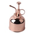 thumbnail image 1 of BRI Hermosa regadera a presión de la mano, botella pulverizadora para maceta, accesorio para plantas de interior, 1 of 10