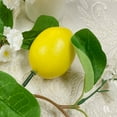 thumbnail image 5 of Artificial Lemon Garland with Faux Yellow Lemons & Green Leaves | 68.9-inch Plastic Hanging Vine for Home Decor | Wedding Backdrop, Farmhouse, Wall Art | Indoor & Outdoor Use, 5 of 6