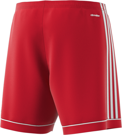 adidas squadra 17 shorts mens