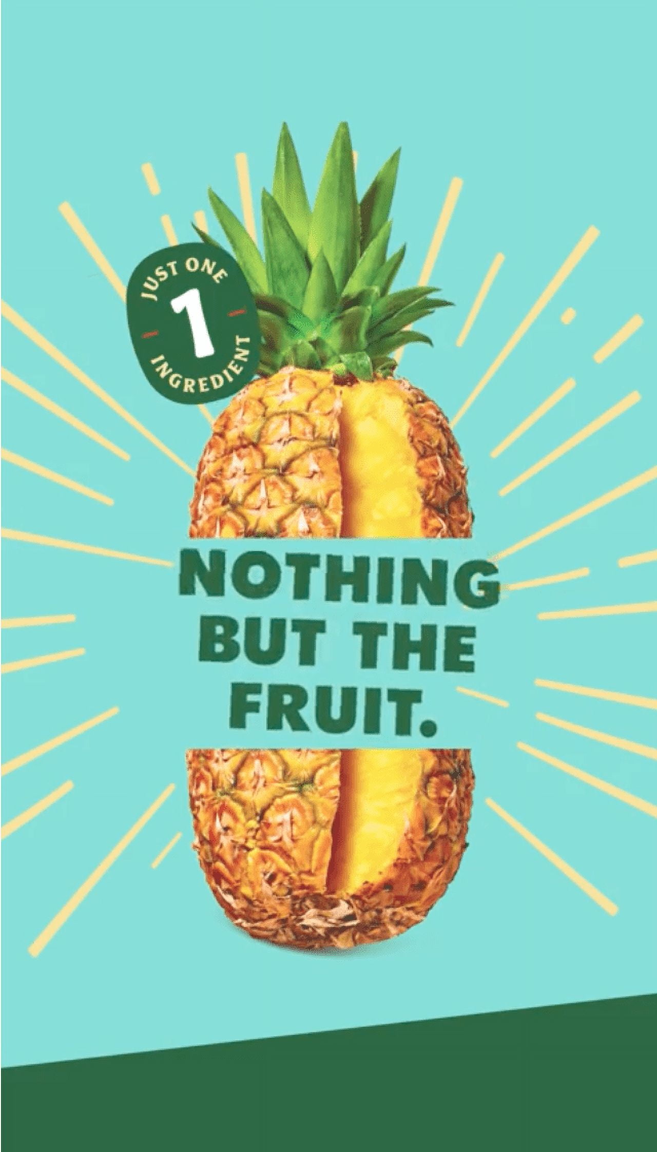 (4 pack) Solely Organic Pineapple Fruit Snack Jerky, Made with Real Fruit, 0.8 oz