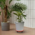 thumbnail image 2 of MasteelfCA 1Pc Thick Movable Vase Rack Plastic Plot Shelf Round Bottom Flowerpot Rack, 2 of 8