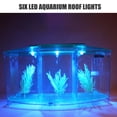 thumbnail image 3 of Amdohai Betta Bowl Mini Aquarium Kit Fish Breeding Hatchery Acrylic Incubator Isolation Box for office, 3 of 8