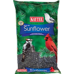 Kaytee Black Oil Sunflower Wild Bird Food, 5 Lb