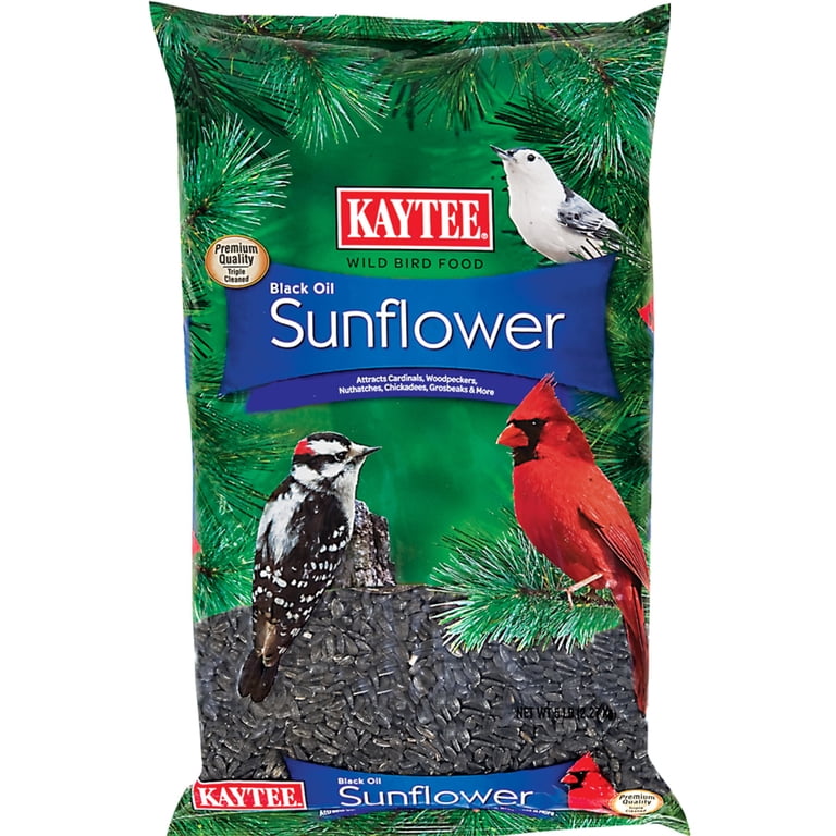 Kaytee Black Oil Sunflower Wild Bird Food, 5 Lb photo 1