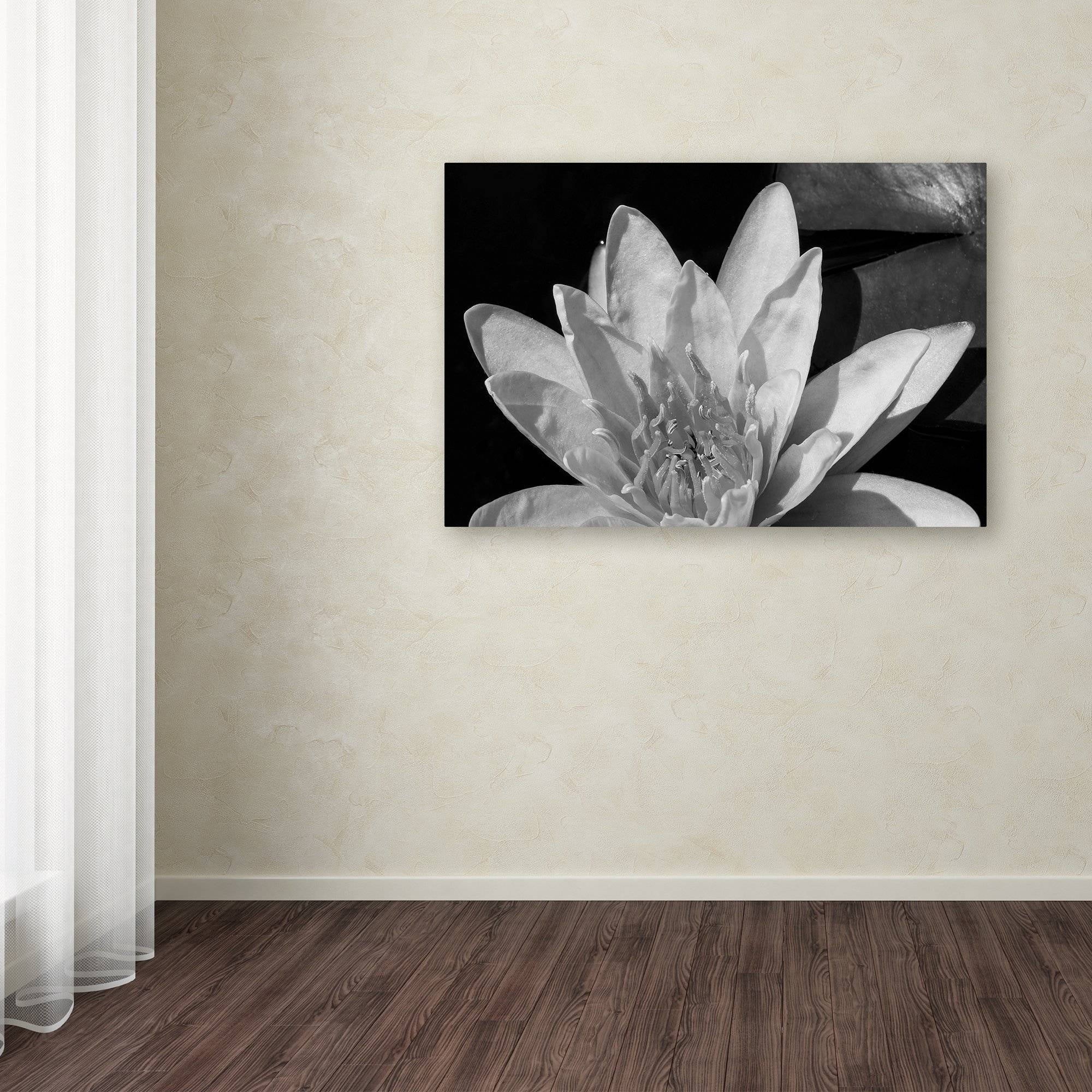 Trademark Fine Art "Water Lily in Black and White" Canvas Art by Kurt Shaffer