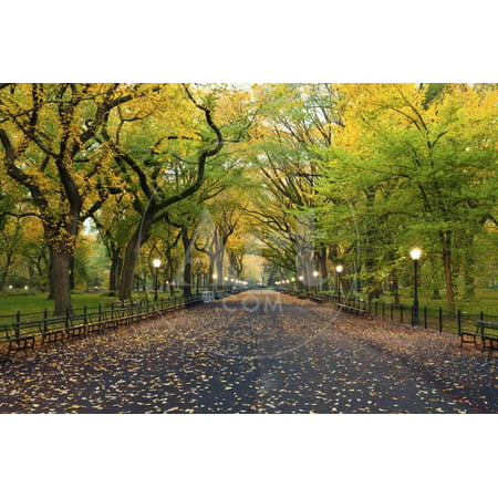 Central Park. Image of the Mall Area in Central Park, New York City, USA at Autumn. Print Wall Art By Rudy