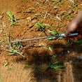 thumbnail image 4 of High-Hardness Stainless Steel Horticultural Weeding Rake, Multi-Tooth Design, Comfortable Grip, Suitable for Home Gardening, 3 Sizes Available, 4 of 8