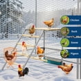 thumbnail image 5 of Studyset Roosting Bars for Chickens in Coop, Chicken Roosting Perch, Metal Frame Chicken Roosting Bars, Easy to Assemble & Clean, Chicken Ladder for Coop, Backyard, Farm, 5 of 7